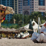 Объединенные Арабские Эмираты развивают недорогой отдых.