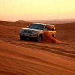 Пустынное сафари, бои быков и другие развлечения в ОАЭ