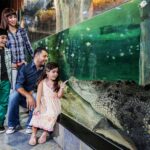 Дубайский зоопарк – место, которое должен посетить каждый