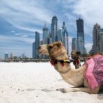 Как вести себя во время отдыха в ОАЭ?