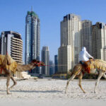 Получится ли отдых летом в ОАЭ