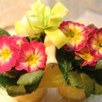 К 8 Марта доставка цветов в Запорожье предлагает красивые букеты